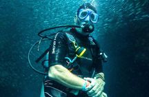 Cabo San Lucas PADI Open Water Certified Diver Course