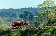 Tamang Heritage Trail Trekking