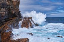 Full Day Cape Peninsula Tour in Private Car 