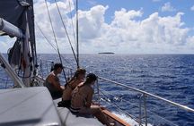 Ocean Free 25 guest Great Barrier Reef & visit Green Island Tour