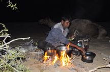 Overnight Camel Safari (remote And Isolated)