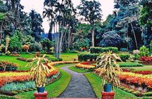 Kandy city tour for couple price 