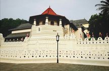 Kandy city tour for couple price 