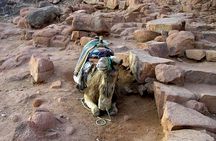 Sunrise at Mt.Sinai and St.Catherine monastery. Entrance included