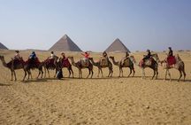 Cairo and Nile Cruise Tours to Luxor and Aswan by Sleeping Train