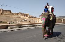 Golden Triangle Tour Of India