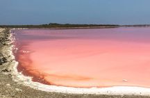 Pink Sea of Galerazamba