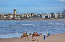 Private excursion to Essaouira, departure from Marrakech