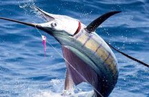 Deep Sea Fishing (Street Food and Beer Included)