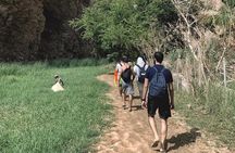 Wadi Shab tour with Bimmah Sinkhole tour (price per vehicle) 