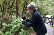 Luxury Milford Sound Coach and Scenic Cruise 