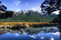 Luxury Milford Sound Coach and Scenic Cruise 