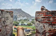 Private City Tour in the Walled city and Bay with Fortress