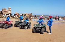 Essaouira: 2H/ Quad + 2H/ Dromedary free transfer