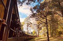 Private Yarra Valley And Puffing Billy Tour