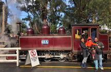 Private Yarra Valley And Puffing Billy Tour