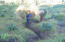 Batur Caldera Sunrise Trekking