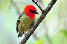 Immerse in the local scene - Mahebourg Private Guided Day Tour (Min. 2 persons)