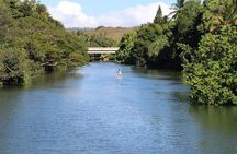 Menehune Enterprises (Waikiki) Semi-Private North Shore Eco Immersion Tour