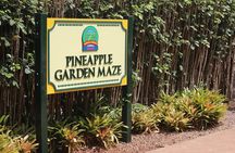 Menehune Enterprises (Waikiki) Semi-Private North Shore Eco Immersion Tour