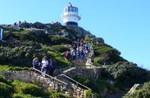  Private Cape Peninsula Tour 