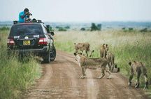  half Day TOURS/NAIROBI NATIONAL PARK/ELEPHANT & GIRAFFE CENTRE