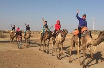 Half-Day Sunset Camel Safari in Rajasthan