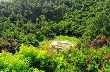 Trou-aux-Cerfs - Grand Bassin - 7 Coloured Earth - Wild South Guided Tour 