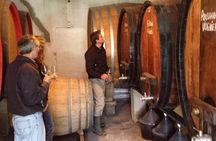 Camino Private Package wine experience PICKUP from CAPE TOWN 