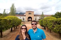 Camino Private Package wine experience PICKUP from CAPE TOWN 