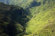 Trou-aux-Cerfs - Grand Bassin - 7 Coloured Earth - Wild South Guided Tour 
