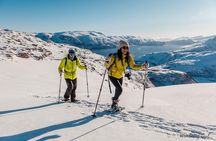Tromsø: Winter Snowshoeing with Wandering Owl