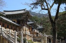 Gyeongju The UNESCO World heritage sites tour(Private tour)