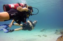 Discover Scuba Diving in Curacao