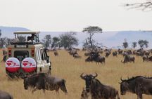 3 Day Serengeti National Park & Ngorongoro Crater Camping Safari