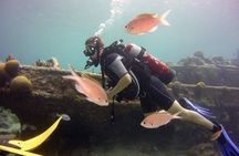 Discover Scuba Diving in Curacao
