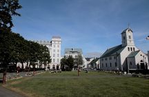 Walking tour of Reykjavik city