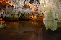 Cenote and Akumal Snorkel