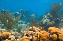 Cenote and Akumal Snorkel