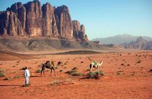 4 Days Tour Petra, Wadi Rum, Aqaba starts from Amman, Dead Sea or Airport