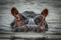3 Days Safari - Selous Game Reserve