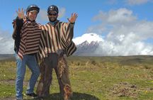 Horseback Riding and Cotopaxi National Park Day Trip