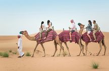 Camel Trekking Dubai with Morning Dune Bashing and Sand Boarding