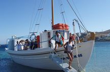 South Coast Cruise
