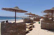 Turtles Bay, Swimming with Turtles Hurghada & Marsa ALam 