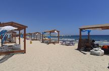 Turtles Bay, Swimming with Turtles Hurghada & Marsa ALam 