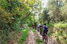 Eleftherna E-Bike and MTB Tour - Experience The Authentic Crete