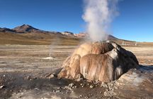 Small-Group Tour to Tatio Geysers Machuca Village & Rio Putana wetlands 