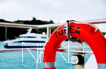 Auckland Harbour Cruise