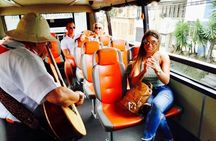 Half-Day San Jose Evening Bus Tour with Dinner and Pickup